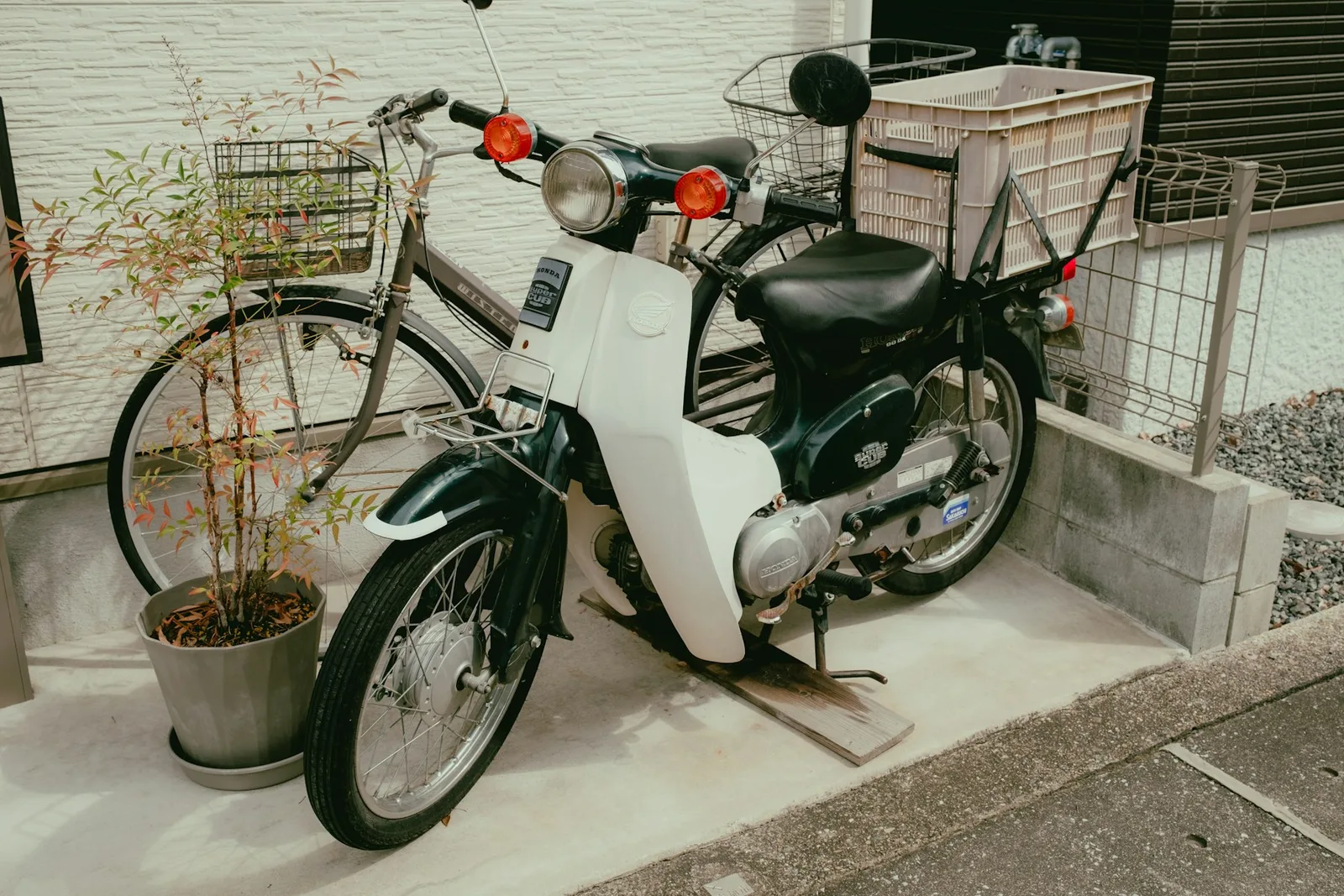 A white-and-green Cub and a bicycle parked together beside a home