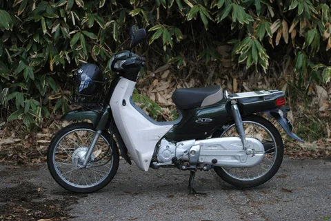 A green-and-white Cub in profile. Contemporary photograph by t Penguin.