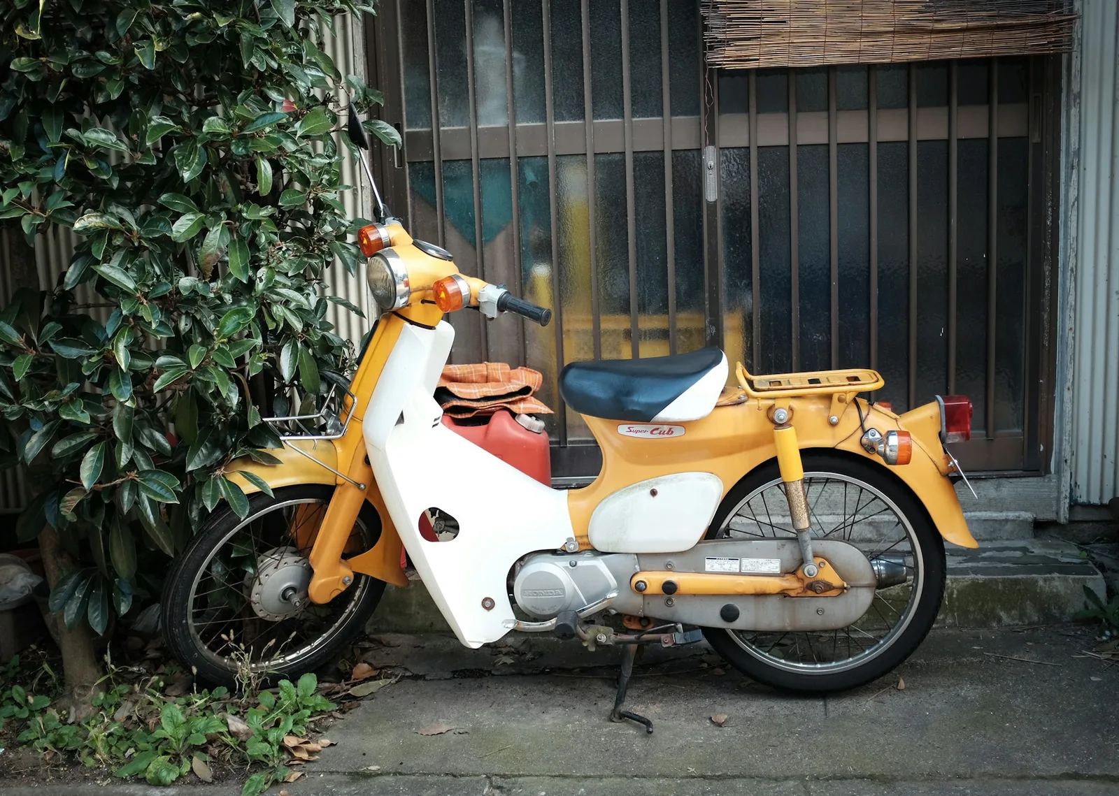 A yellow-and-white Honda Cub parked beside plants and a shuttered doorway